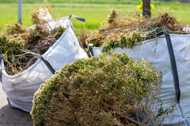 Attic Cleanout Services in Schofield, WI